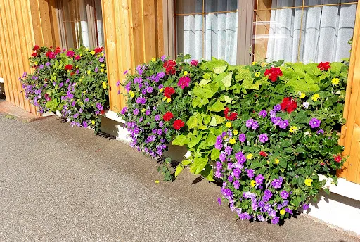 Bild von Hemmale Café & Bar