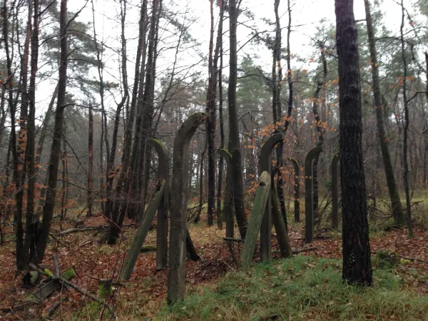 Bild von undefined