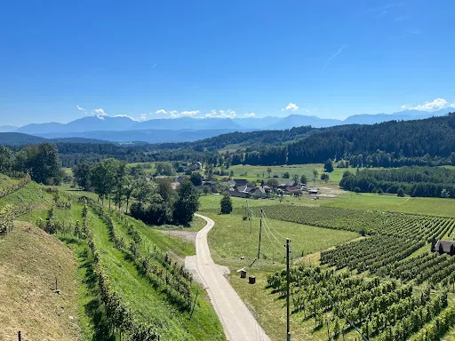 Bild von Restaurant & Stadtheuriger Leiten