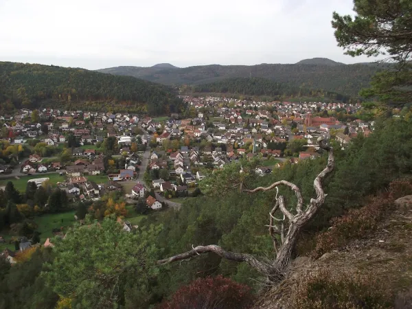 Bild von undefined