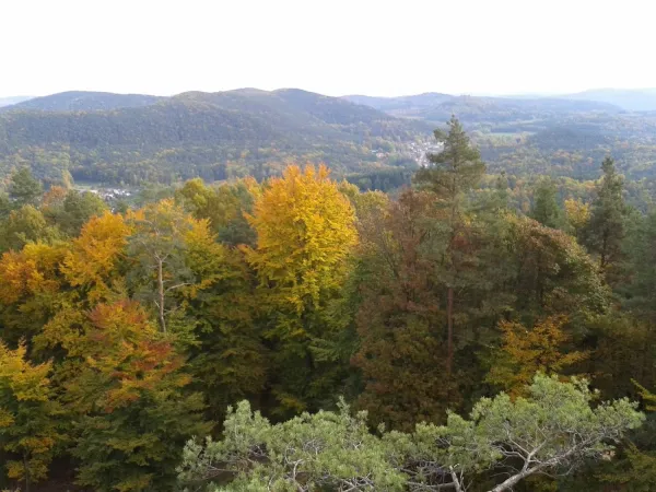 Bild von undefined