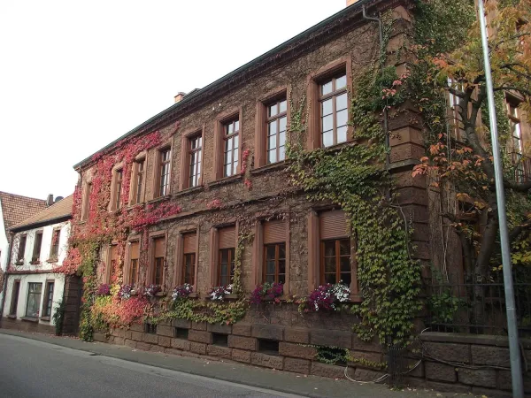 Bild von undefined