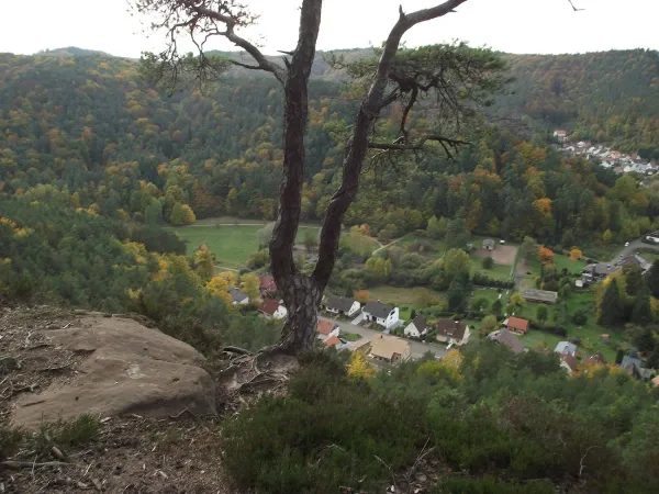 Bild von undefined