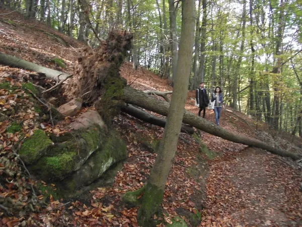 Bild von undefined