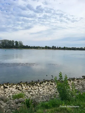 Bild von undefined