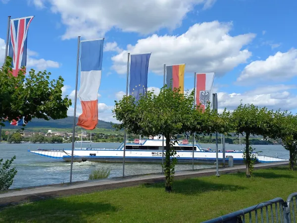 Bild von undefined