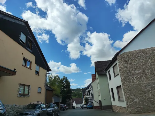 Bild von Janet Maldonado