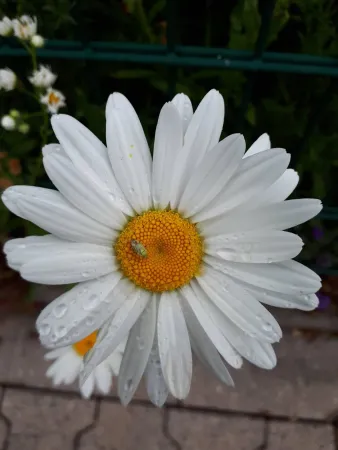 Bild von undefined