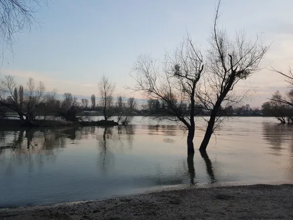 Bild von undefined