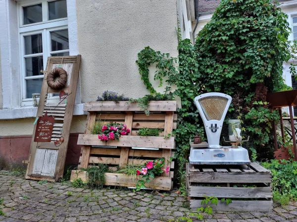 Bild von undefined