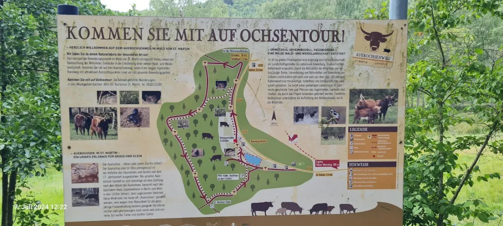 Bild von undefined