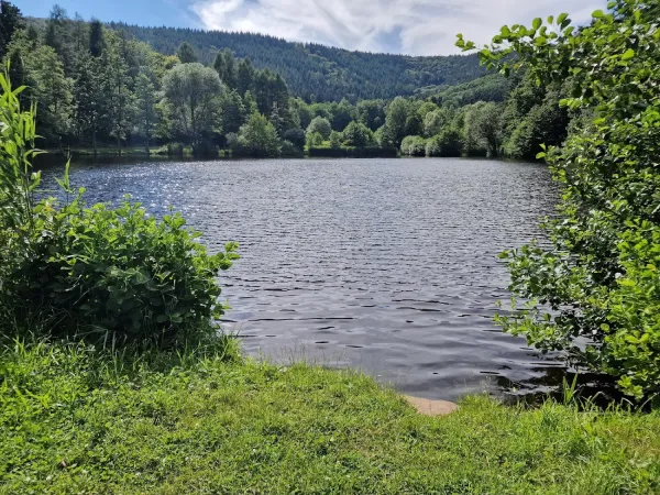 Bild von undefined