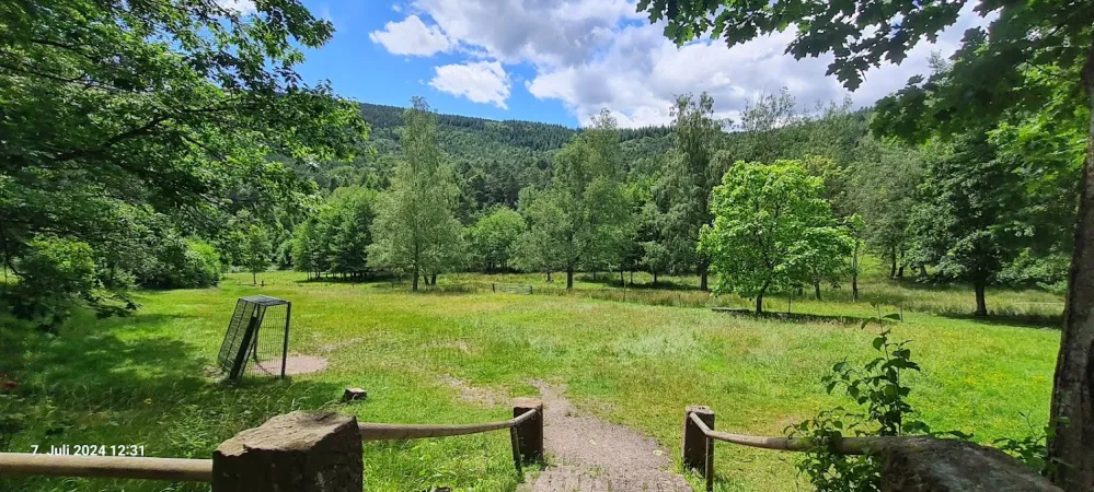 Bild von undefined