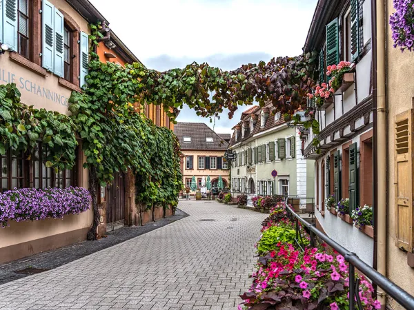 Bild von Alessandro Vinothek & Restaurant „Alte Weinstube“