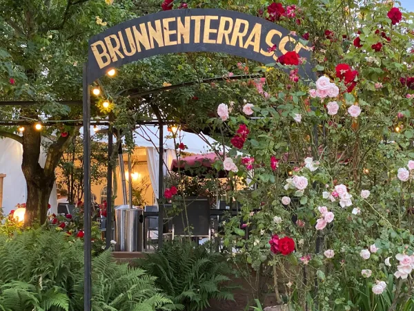Bild von Brunnenterrasse