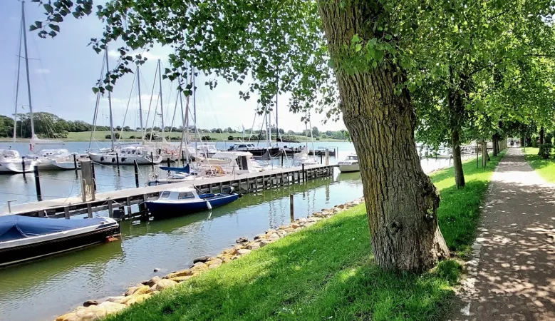 Bild von undefined