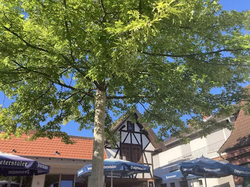 Bild von Weinhaus Geiger - Dieter Geiger