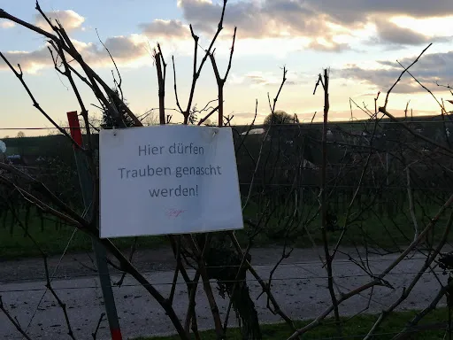 Bild von Weinhaus Geiger - Dieter Geiger