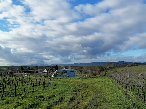 Bild von Weinhaus Geiger - Dieter Geiger