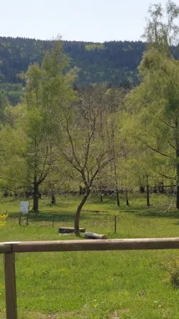 Bild von Grillhütte St. Martin