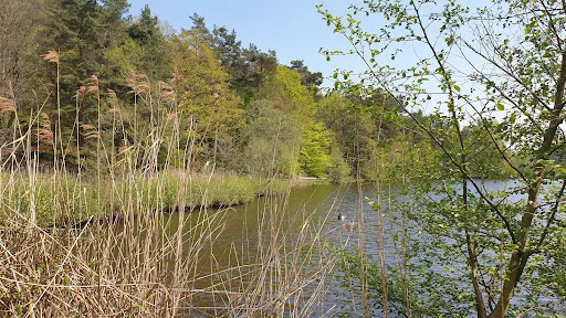 Bild von Grillhütte St. Martin