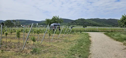 Bild von Winzerhof Ernst GbR