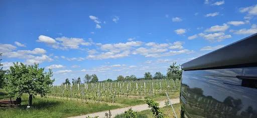 Bild von Winzerhof Ernst GbR