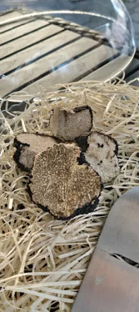 Bild von Restaurant Il Tartufo
