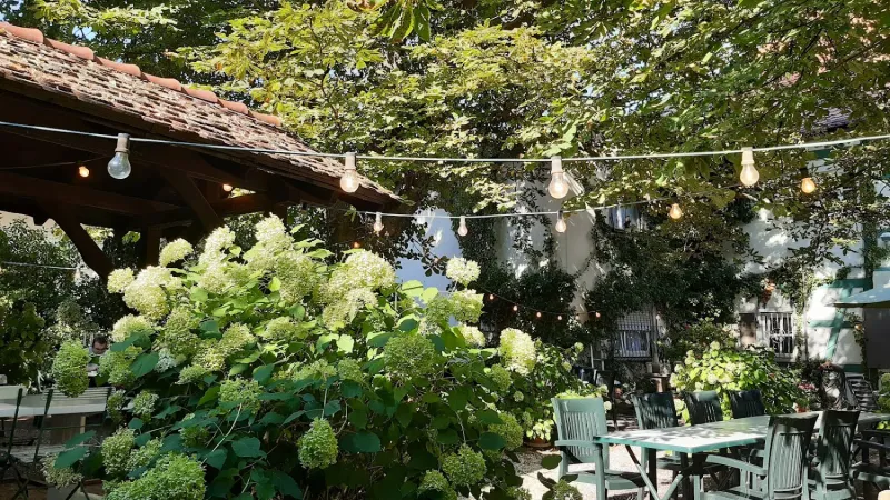 Bild von undefined