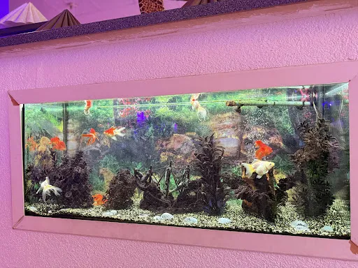 Bild von Restaurant Goldfish