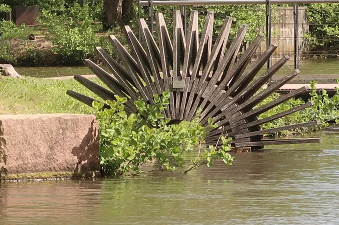 Bild von Swan Event (Schwanenweiher)
