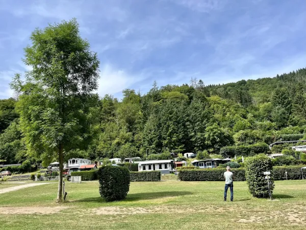 Bild von Loutje
