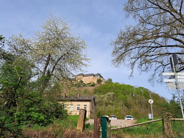 Bild von Pia Stefanie Staude