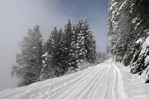 Bild von Lammersdorfer Hütte