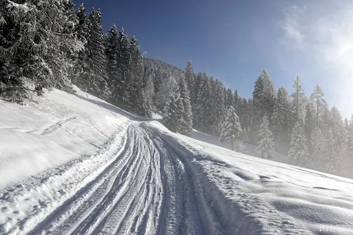 Bild von Lammersdorfer Hütte
