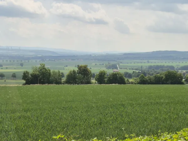 Bild von undefined
