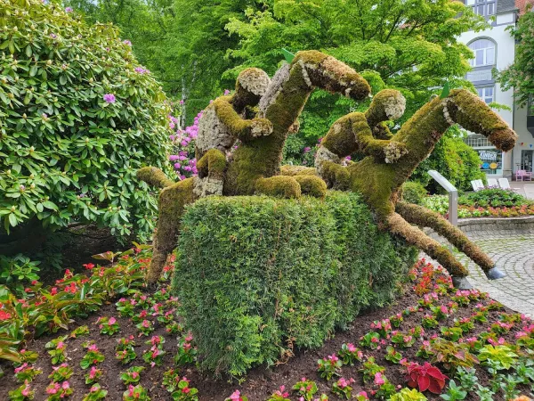 Bild von Ralf Dammann