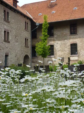 Bild von undefined