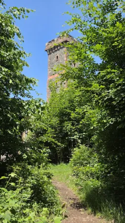 Bild von Waldgaststätte Bismarckturm