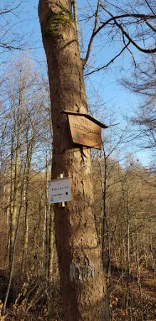 Bild von Waldgaststätte Bismarckturm