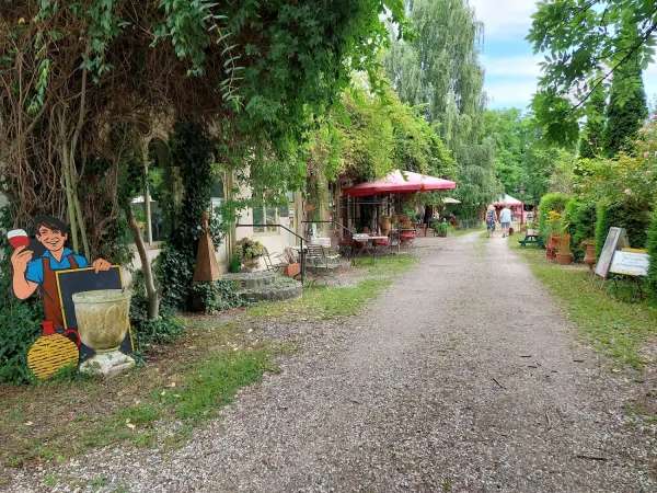 Bild von undefined
