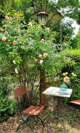 Bild von undefined