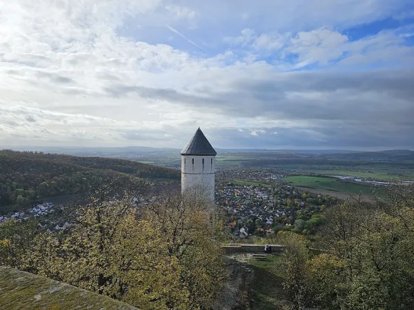 Bild von Steinadler1983