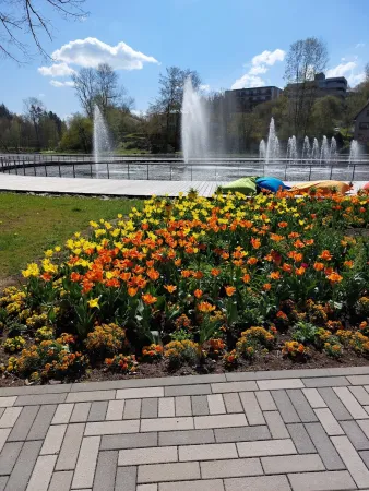 Bild von undefined