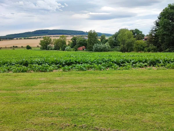Bild von undefined