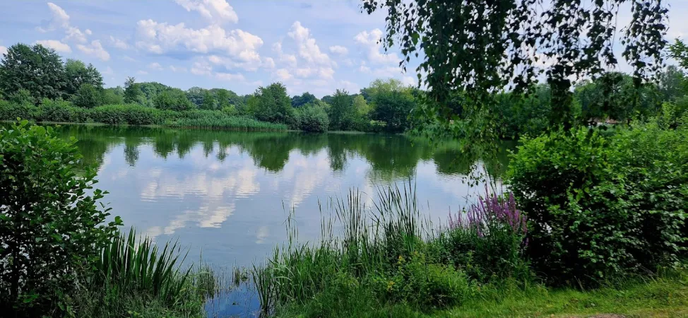 Bild von Christine Beinsen
