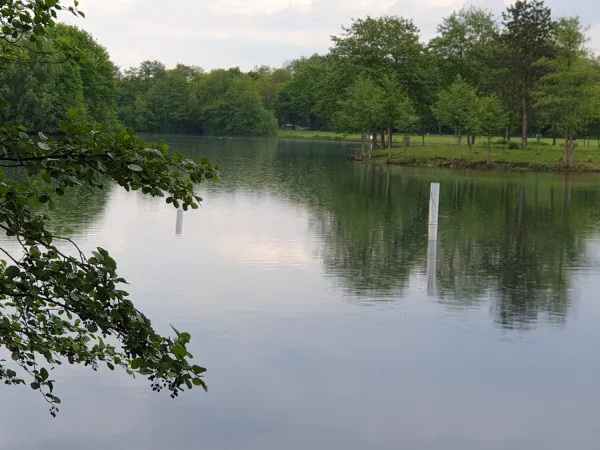 Bild von Ursula