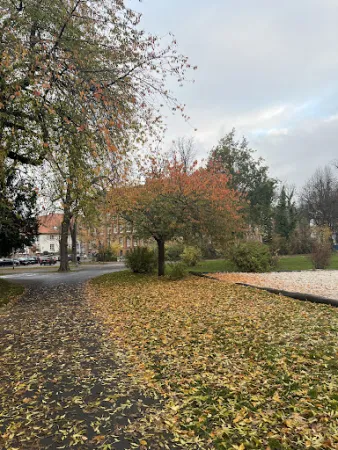 Bild von Parkhotel Altes Kaffeehaus GmbH