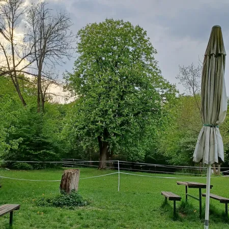 Bild von undefined