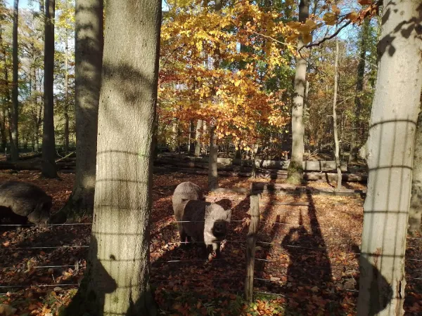 Bild von undefined